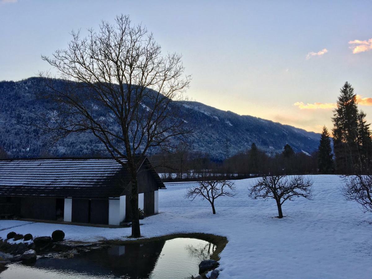 Appartamento Assingerhof Sankt Stefan an der Gail Esterno foto